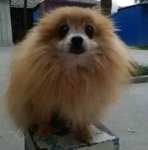 20221117083651_44102 20221117083651_44102