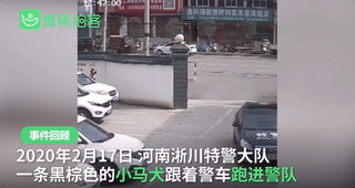 20221117084941_58475 20221117084941_58475