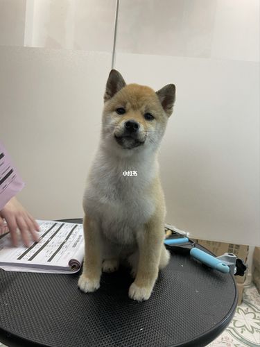 20221117085333_62628