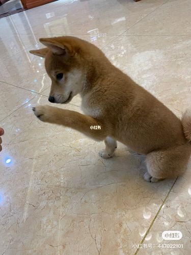 20221117085333_68706