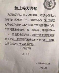 河南省禁犬令(河南省禁鱼令什么时候结束)-警犬训练器材厂家 _警犬训练用品_工作犬训练用品-南京开久警犬装备