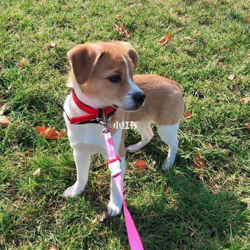 20221117091227_33267 20221117091227_33267