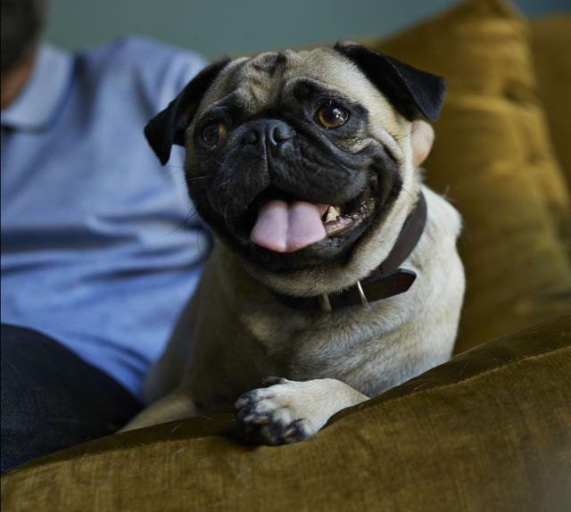 20221117093321_18089