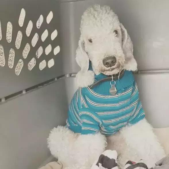 20221117094409_21139 20221117094409_21139