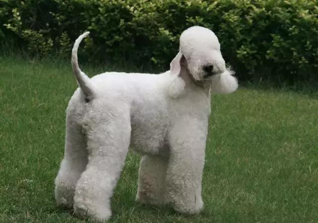 20221117094409_57161 20221117094409_57161