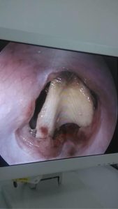 狗狗卡到了我的下面好疼-警犬训练器材厂家 _警犬训练用品_工作犬训练用品-南京开久警犬装备