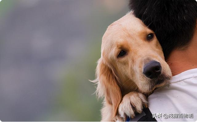 20221117110231_80189