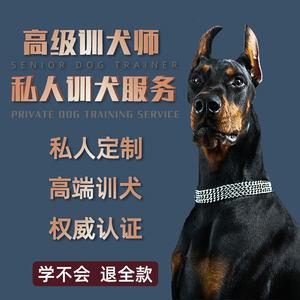 宠物狗狗的行为训练教程及训狗 *** 大全-警犬训练器材厂家 _警犬训练用品_工作犬训练用品-南京开久警犬装备