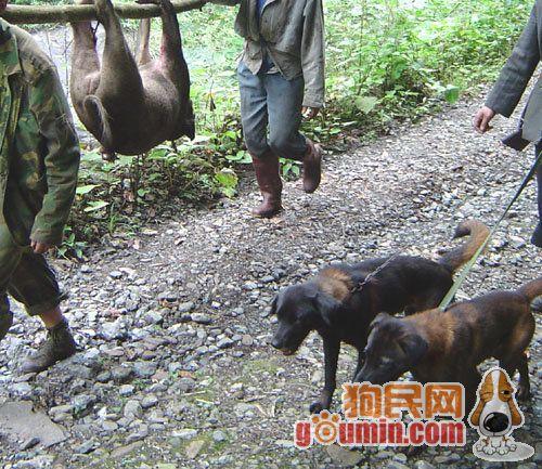 20221117112737_10879 20221117112737_10879