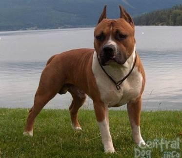 20221117112737_37142 20221117112737_37142