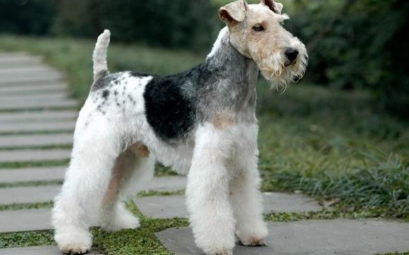 20221117112855_41071