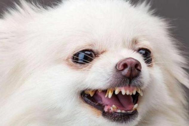 20221117112856_82206