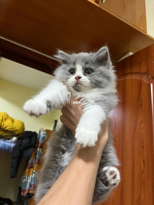 20221117123118_34753 20221117123118_34753