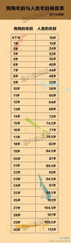 狗狗年龄怎么算(狗狗和人的年龄对照表) - 警犬训练器材厂家 _警犬训练用品_工作犬训练用品-南京开久警犬装备-警犬训练器材厂家 _警犬训练用品_工作犬训练用品-南京开久警犬装备