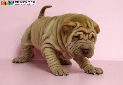 20221117124806_12318