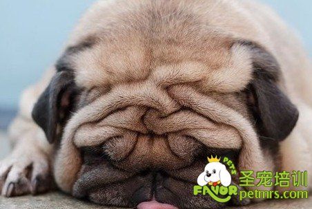 20221117124806_56289