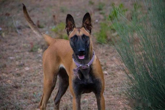 20221117125002_15662 20221117125002_15662