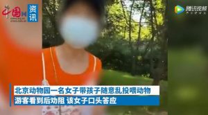北京野生动物园狗妈妈  北京野生动物园狗妈妈哪去了-警犬训练器材厂家 _警犬训练用品_工作犬训练用品-南京开久警犬装备