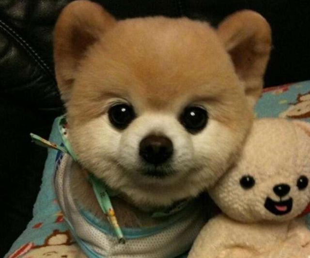 20221117130258_26941