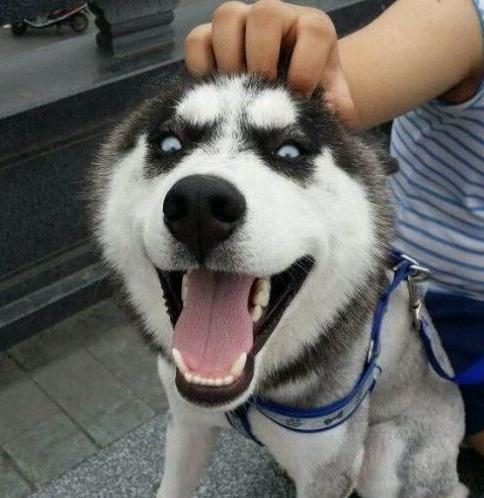 20221117130258_61246