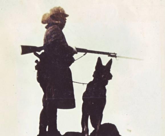 20221117130801_34277