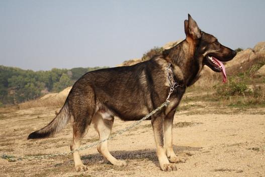 20221117130801_61280