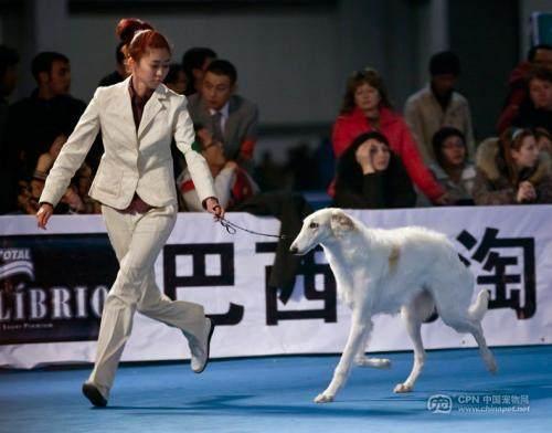 20221117131113_80535 20221117131113_80535