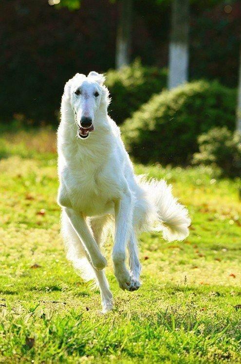 20221117131114_23916 20221117131114_23916