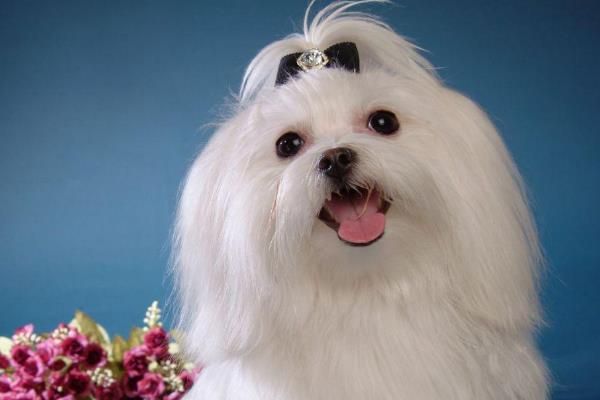 20221117131604_12012 20221117131604_12012