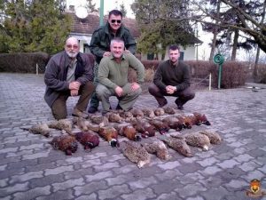 灵缇犬抓野鸡兔子(灵缇犬怎么训练抓野鸡)-警犬训练器材厂家 _警犬训练用品_工作犬训练用品-南京开久警犬装备