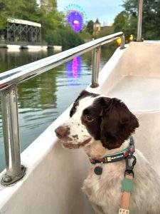 成都南湖公园可以带狗吗-警犬训练器材厂家 _警犬训练用品_工作犬训练用品-南京开久警犬装备