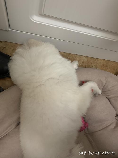 20221117140558_68524 20221117140558_68524