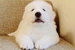 20221117150113_52608