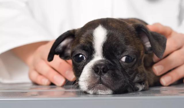 20221117150251_43970