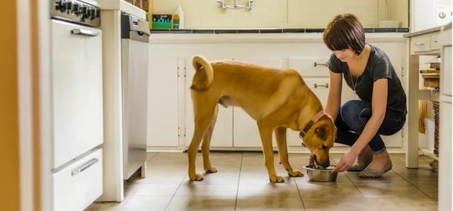 20221117150251_89754