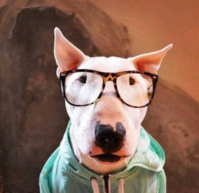 20221117151042_81219