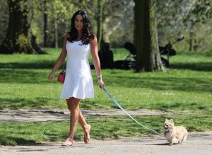 狗狗好厉害半个小时  狗狗中毒半个小时就死了-警犬训练器材厂家 _警犬训练用品_工作犬训练用品-南京开久警犬装备