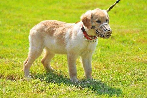 20221117151235_86306 20221117151235_86306