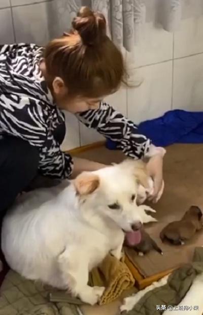 20221117152955_55079 20221117152955_55079