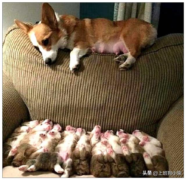 20221117152956_82506 20221117152956_82506