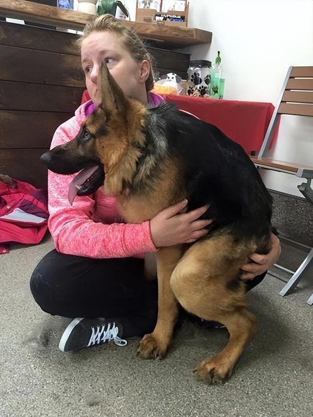 20221117153716_26710 20221117153716_26710