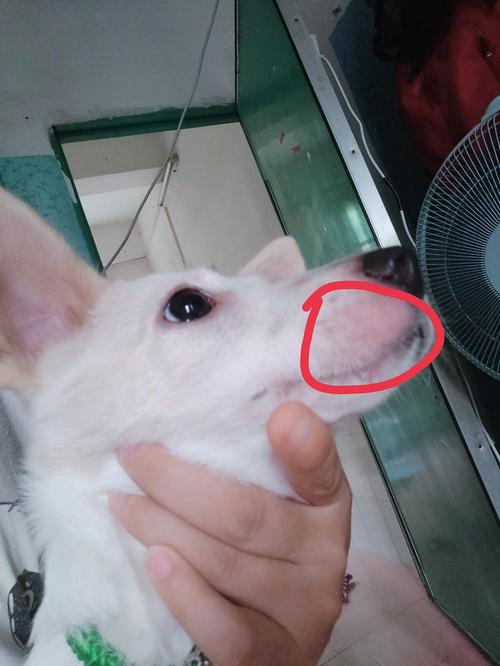 20221117154327_65186