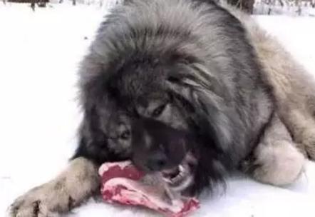 20221117154527_91857