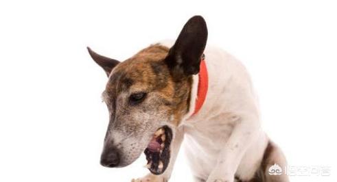 20221117160031_12155