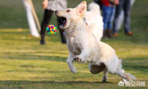 20221117160032_41963