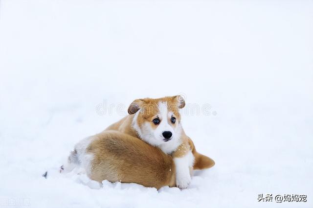 20221117162538_78749