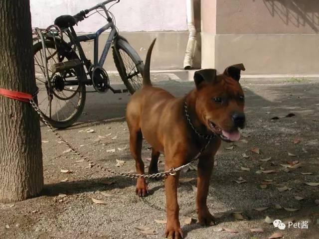 20221117163641_56224 20221117163641_56224