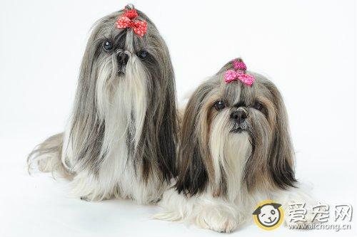 20221117163917_25349