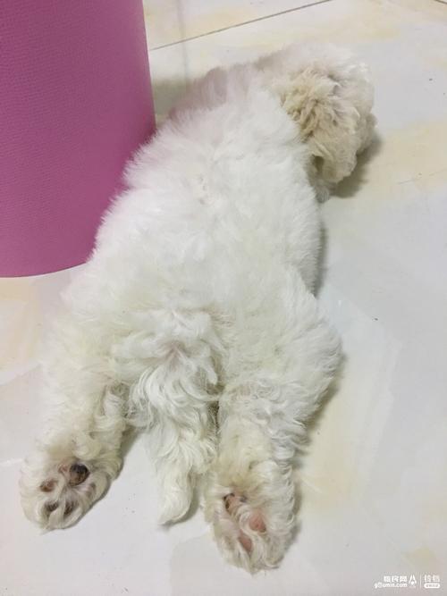 20221117164233_85215