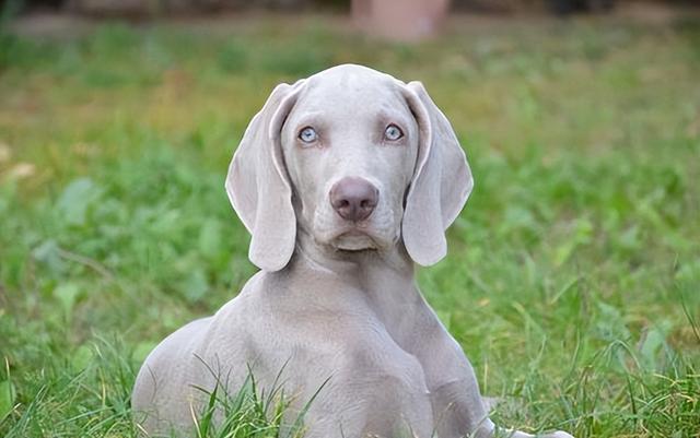 20221117165009_91468